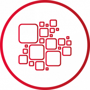 organization